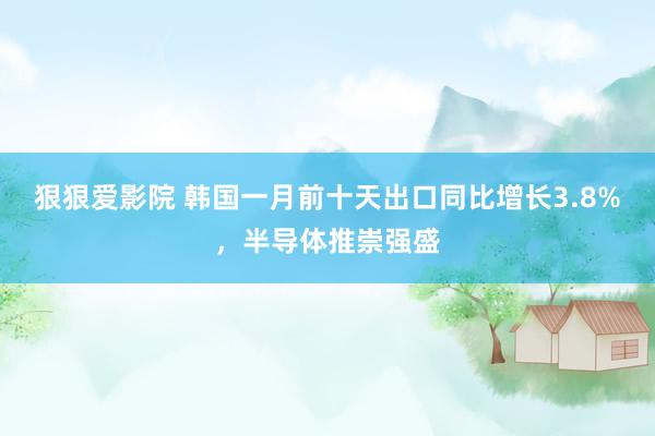 狠狠爱影院 韩国一月前十天出口同比增长3.8%，半导体推崇强盛