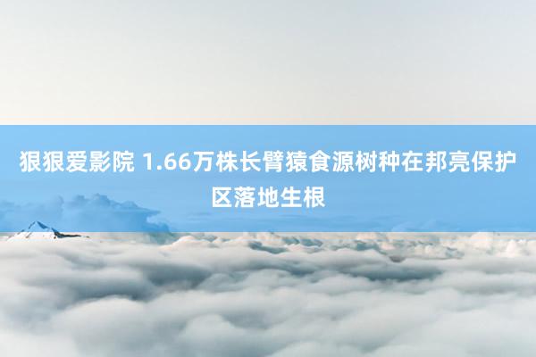 狠狠爱影院 1.66万株长臂猿食源树种在邦亮保护区落地生根