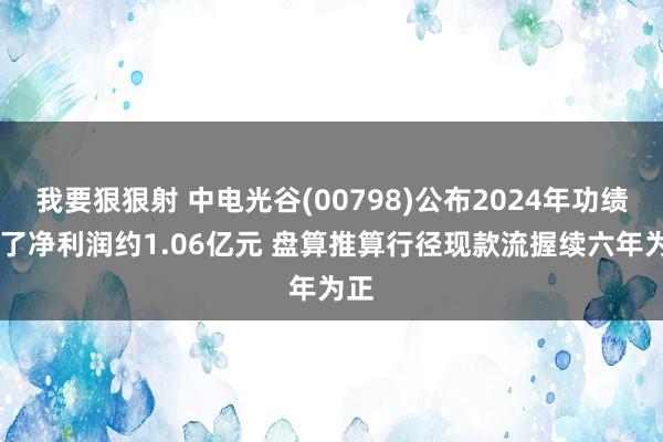 我要狠狠射 中电光谷(00798)公布2024年功绩 终了净利润约1.06亿元 盘算推算行径现款流握续六年为正
